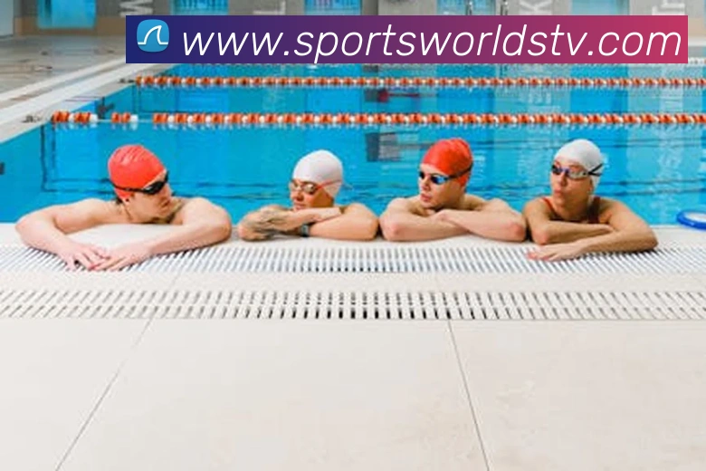 球赛投注平台生态图